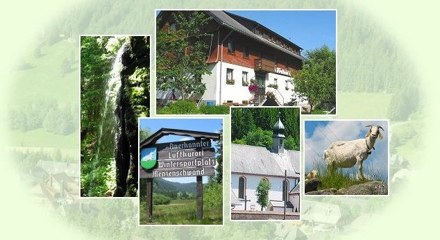 Pension Forellenhof im Luftkurort Menzenschwand im Schwarzwald